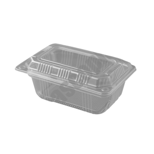 تصویر ظرف یکبارمصرف باکس پذیرایی کوتاه